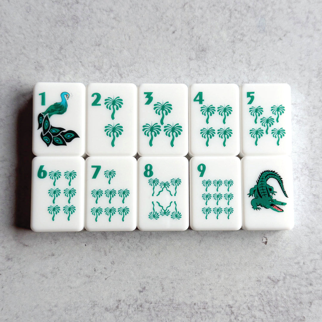 Mahjong Set & Lucite Display Box Bundle