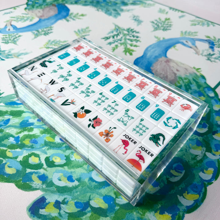 Mahjong Tile Display Case